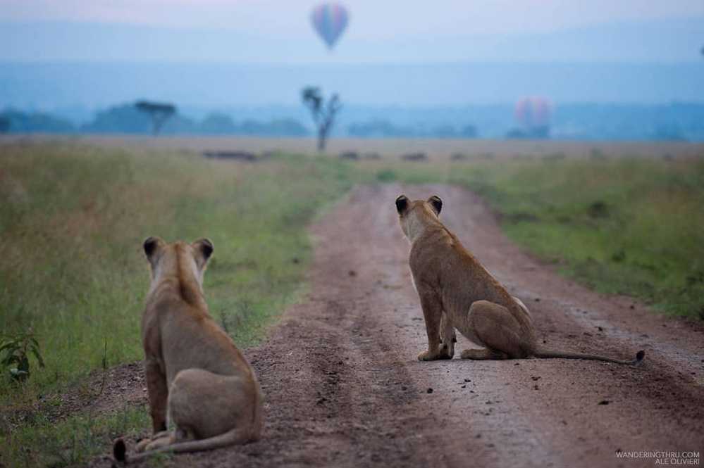 Kenya