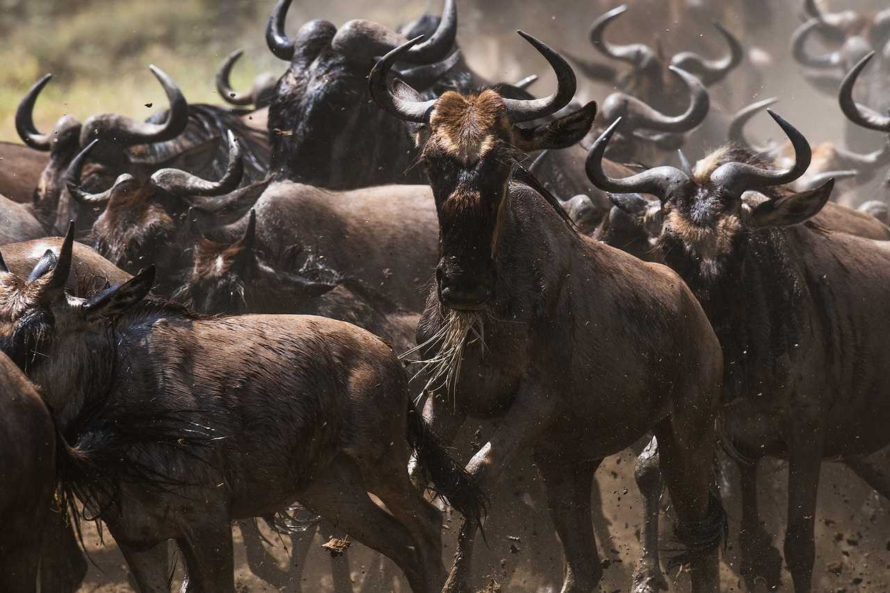 Tanzania