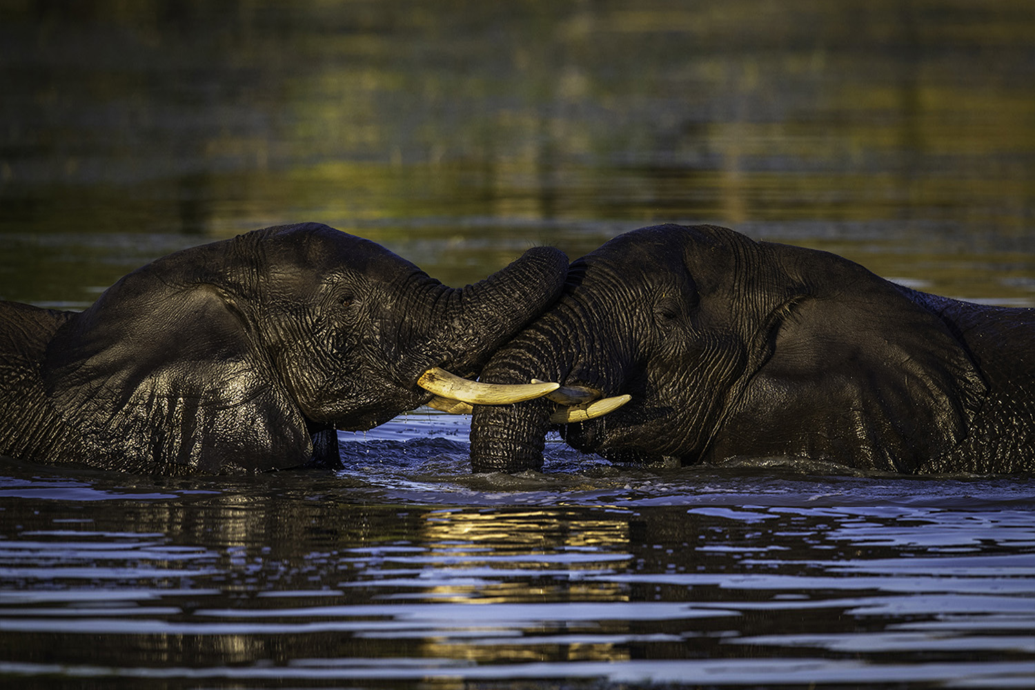 Botswana